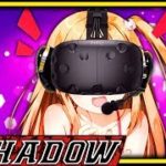 [ VRChat ] I Paid an Anime Voice Actor to Play VRChat