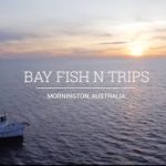 Google AdWords Case Study – Bay Fish N Trips