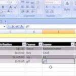 Excel Magic Trick #184: Setup Database in Excel