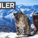 Planet Earth II: Official Extended Trailer | BBC Earth