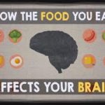 How the food you eat affects your brain – Mia Nacamulli